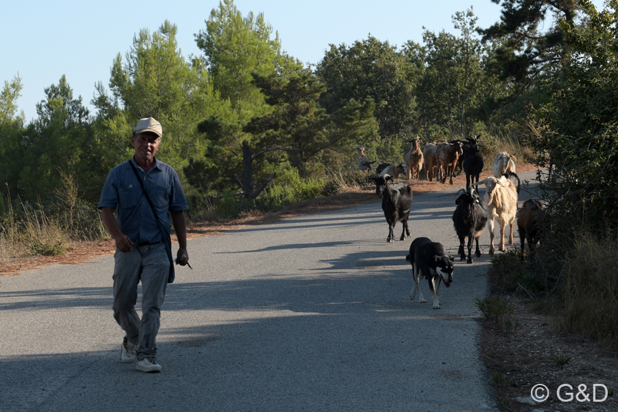 Albanien_2019_153