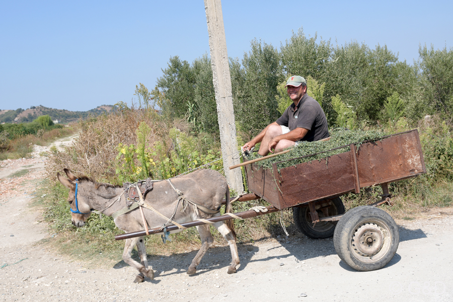 Albanien_2019_176