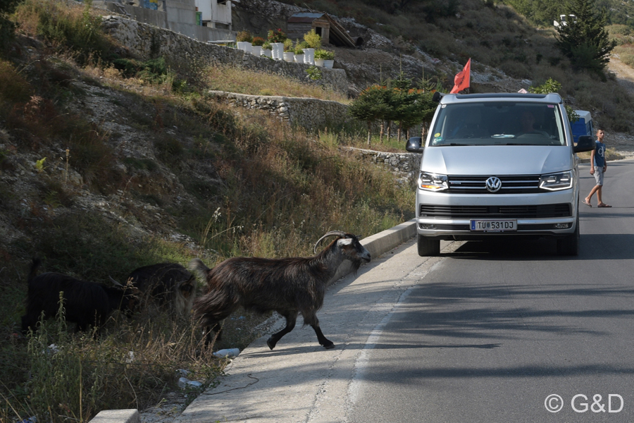 Albanien_2019_207