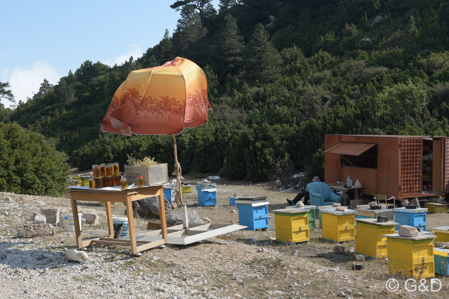 Albanien_2019_210