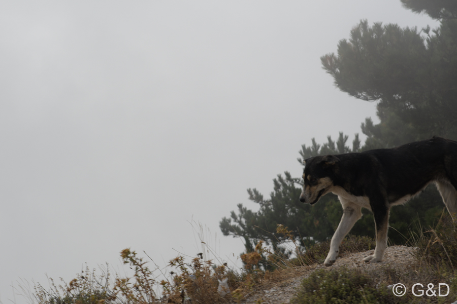 Albanien_2019_215