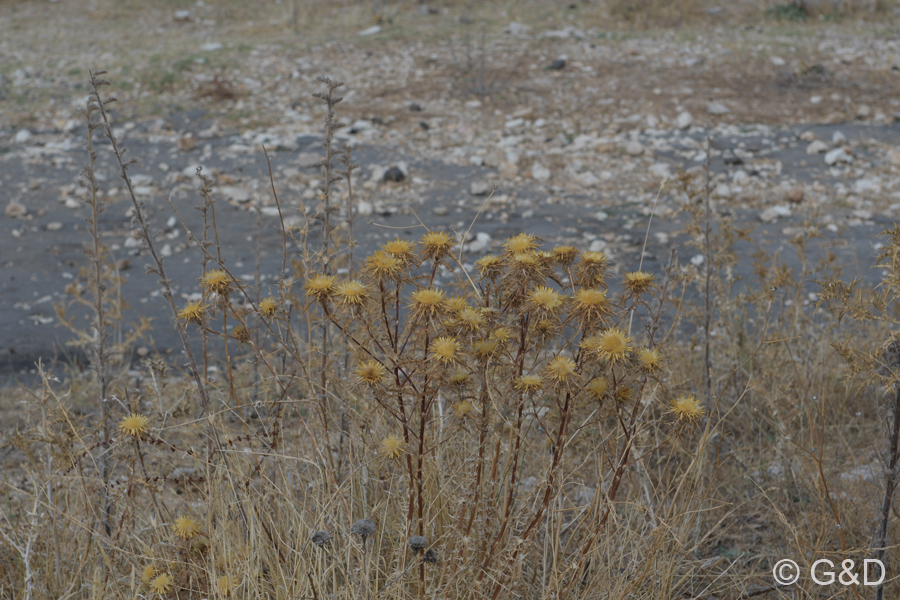 Albanien_2019_247