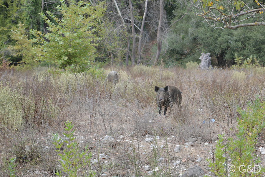 Albanien_2019_365