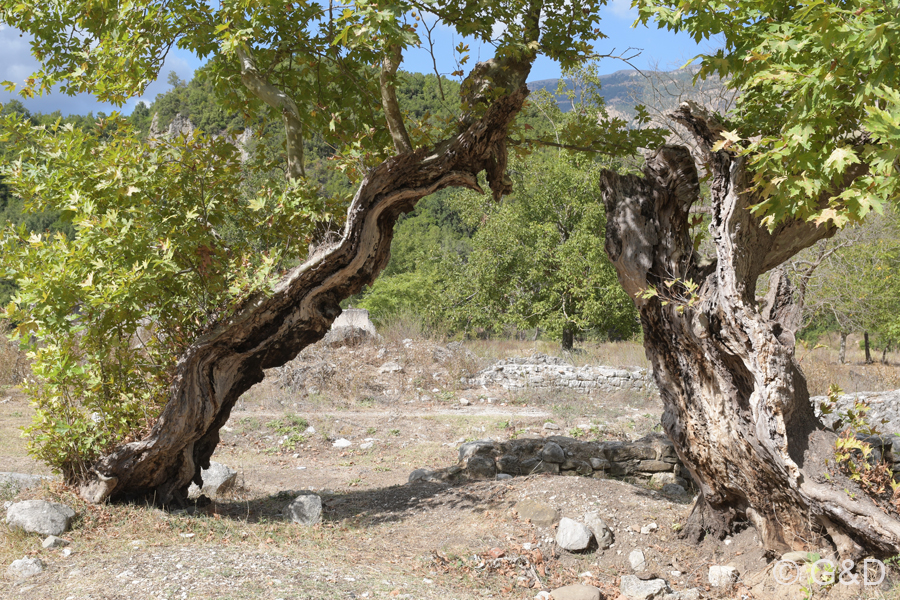 Albanien_2019_367