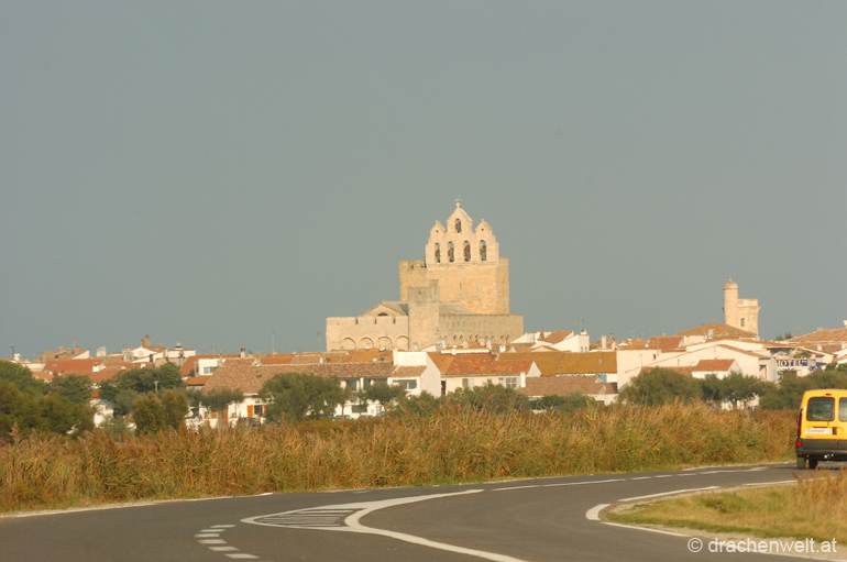camargue21
