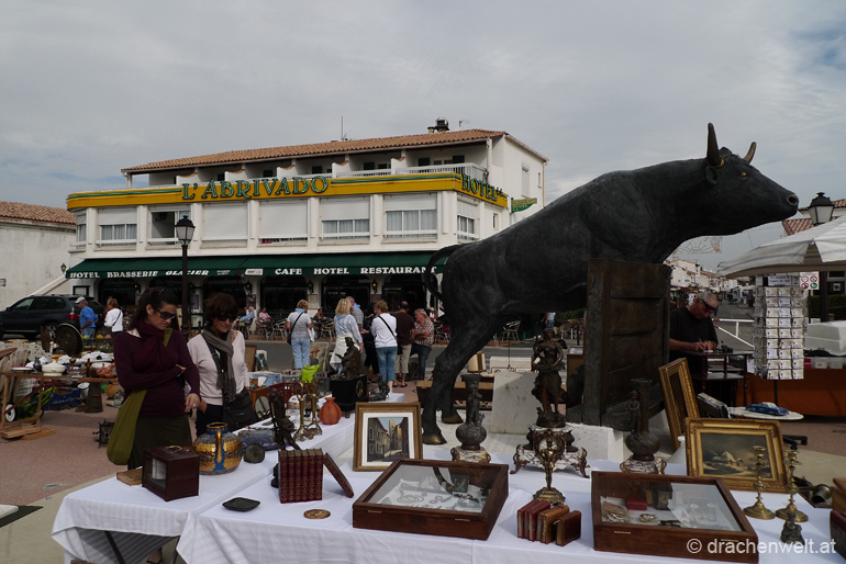 camargue28