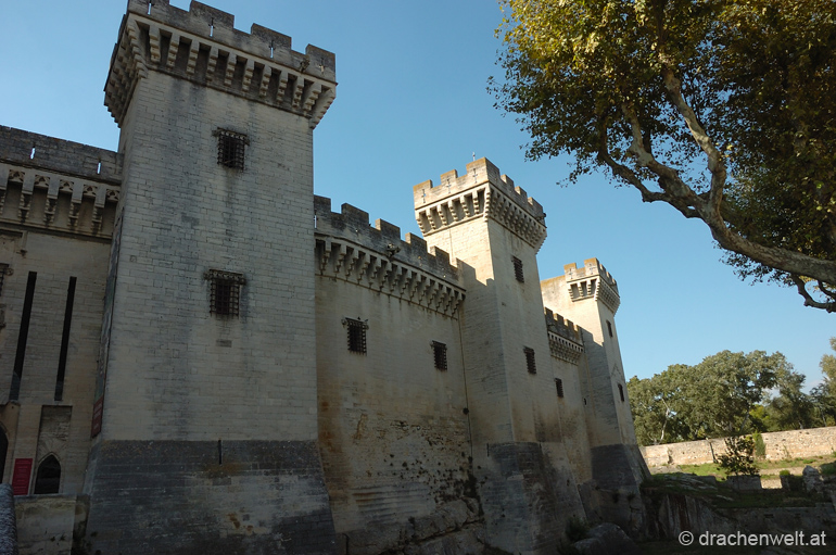 camargue53