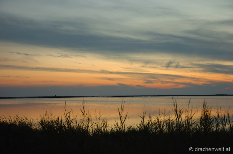 camargue63