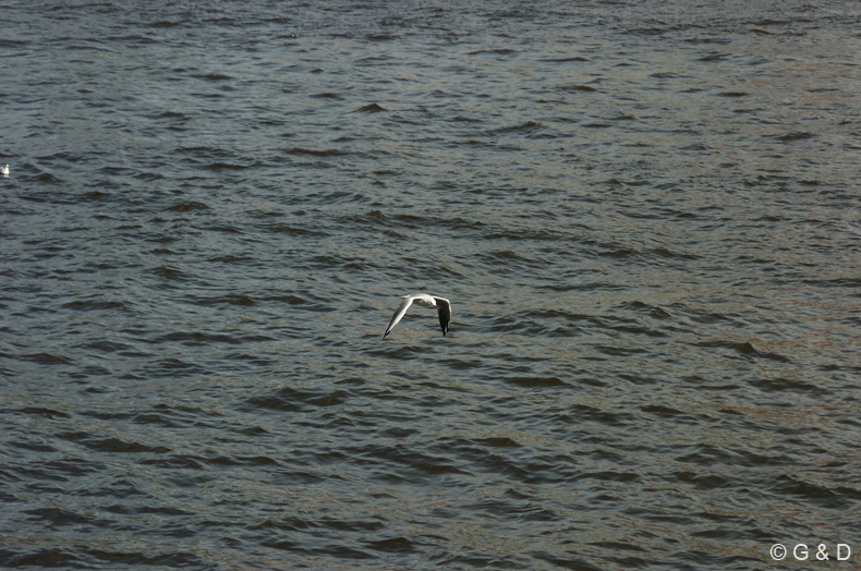 Hamburg_maritim_05