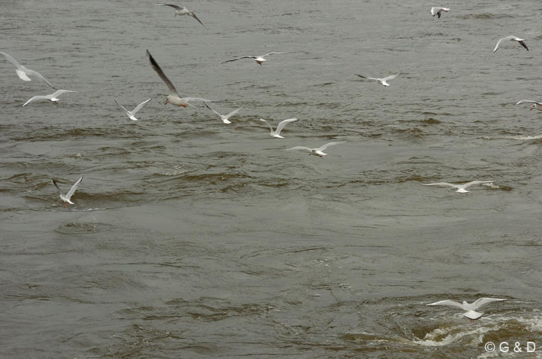 Hamburg_maritim_42
