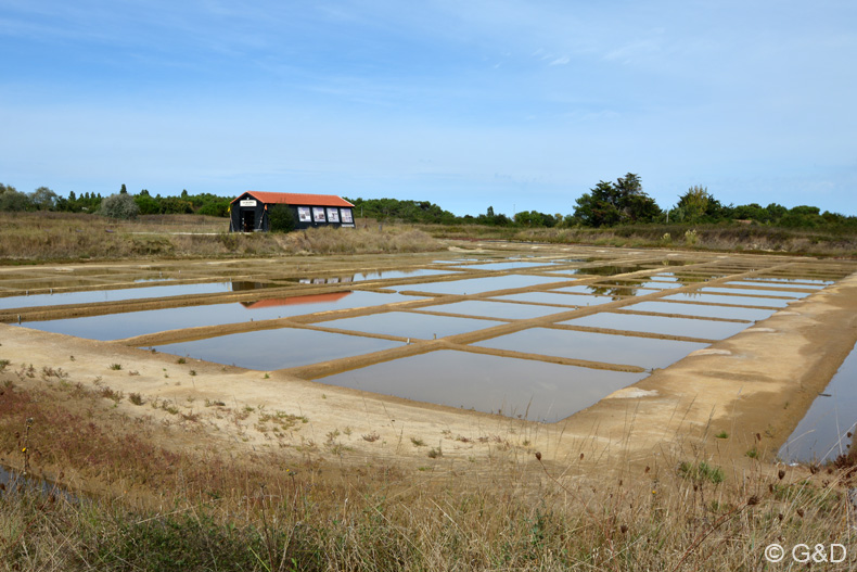 oleron_096