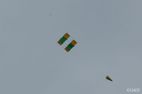 bewegung13