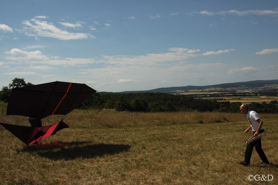 flygrill02