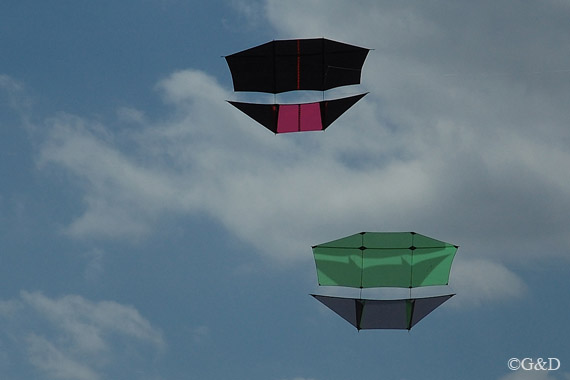 flygrill03