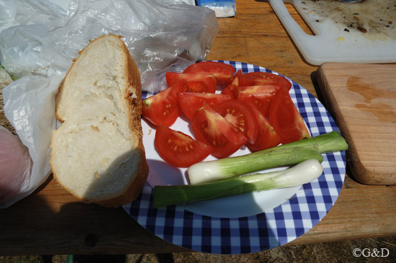 flygrill11