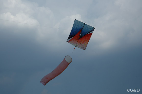 roterberg04