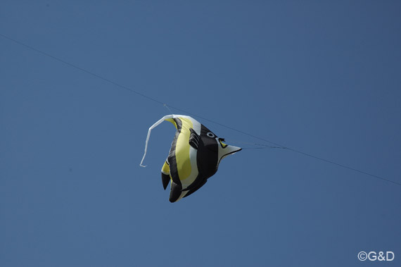 parndorf07_06