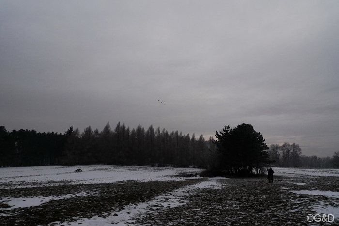 sylvesterfliegen08